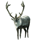 ”Reindeer Front Sticker