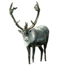 Reindeer Front Sticker APK