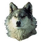 Wolf Sticker আইকন