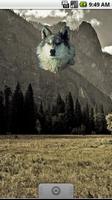 Wolf Sticker Affiche