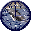 Whale Humpback 2 Analog Clock APK