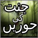 jannat ki Hoorain in Urdu APK