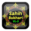Sahih Bukhari English VL 3