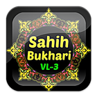 Sahih Bukhari English VL 3 icono