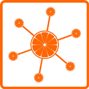 AA ORANGE APK
