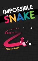 Impossible Snake poster