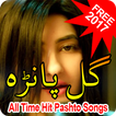 Gul Panra Best Songs Ever