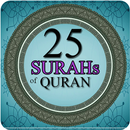 Last 25 Surah of Quran APK