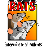 Rats DEMO