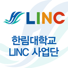 한림대 창업교육센터 icono