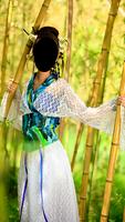 Kimono Model Dress Photo Montage โปสเตอร์