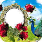 Peacock Frames Photo Editor icon