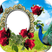 Peacock Frames Photo Editor