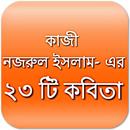 নজরুল ইসলাম : ২৩ টি কবিতা APK