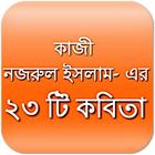 নজরুল ইসলাম : ২৩ টি কবিতা icon