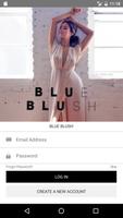 Blue Blush Wholesale Poster