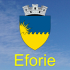 Eforie City Council icône