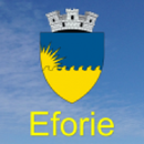 Eforie City Council APK