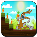 Bunny Loonny Run : Free Game APK
