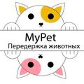 MyPet