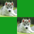 Memory Photo Zeichen