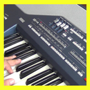 Organ APK