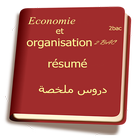 economie et organisation 2bac resume أيقونة