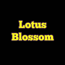 Lotus Blossom aplikacja