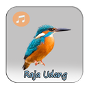 Kicau Raja Udang Fighter APK