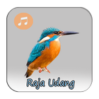 Kicau Raja Udang Fighter icon