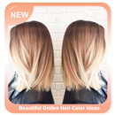 Beautiful Ombre Hair Color Ideas-APK