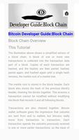 BitCoin Developer Guide: Block Chain screenshot 2