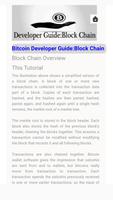 BitCoin Developer Guide: Block Chain スクリーンショット 2