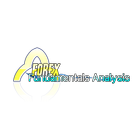 Forex: What is Fundamental Analysis icône