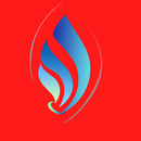 Guide To Meta Trader 5 APK
