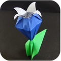 Nature Origami