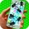 Spider on Phone Scare Prank APK