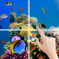 Animal Puzzle Sea