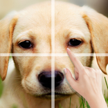 Puzzle - Puzzle Dog