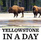 آیکون‌ Yellowstone in a Day