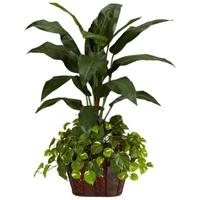 Plantas ornamentais imagem de tela 3