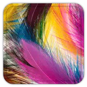 Feather Live Wallpaper