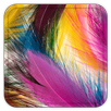 Feather Live Wallpaper APK