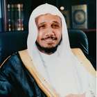 Holy Quran  Abdallah Basfar icon
