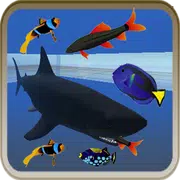 Feed The Fish