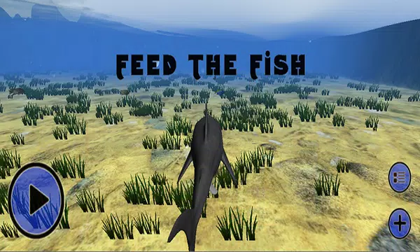 Feed The Fish