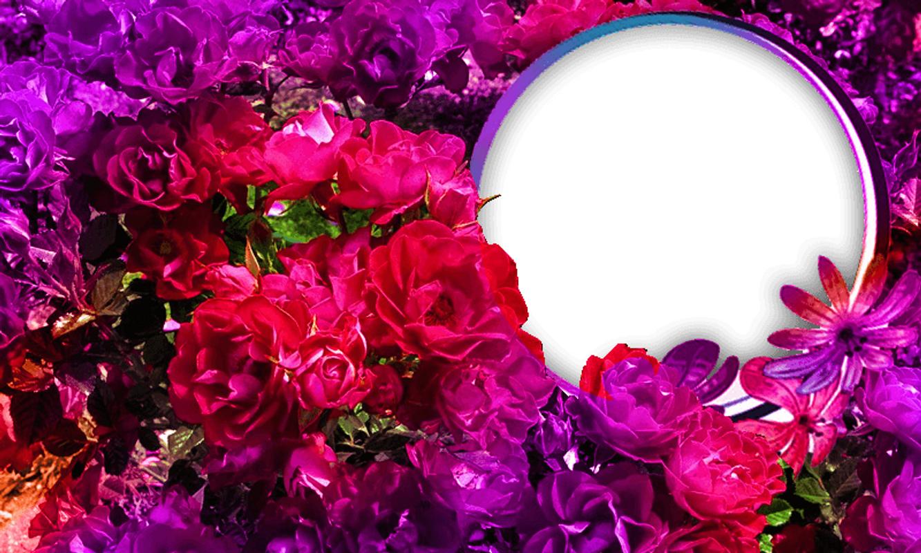 Roses Photo Frames Animated Apk Free Photography App For Roses Photo Frames Animated Poster Apk Screenshot