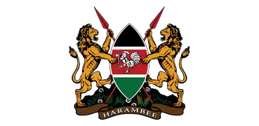 Kenyan Constitution