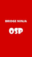 Bridge Ninja постер