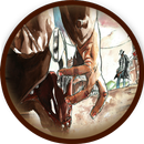 Cowboy Fight APK